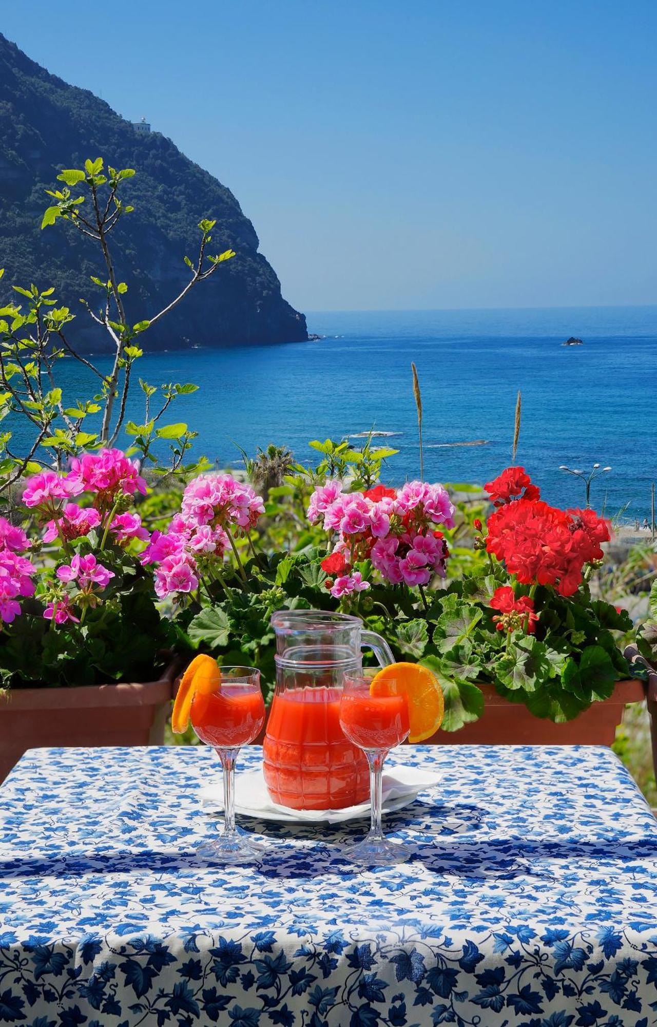 Hotel Casa Del Sole Forio di Ischia Zewnętrze zdjęcie