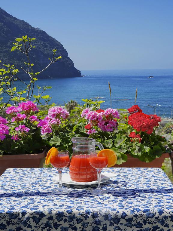 Hotel Casa Del Sole Forio di Ischia Zewnętrze zdjęcie